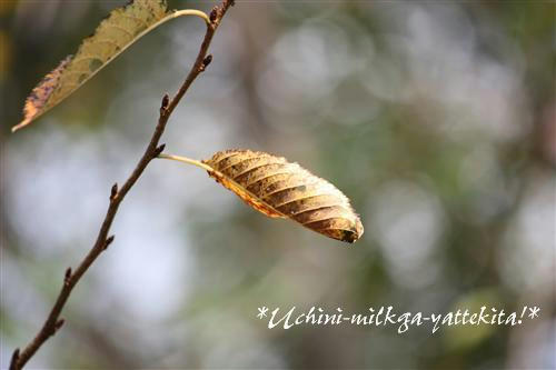 IMG_0870_RR.jpg