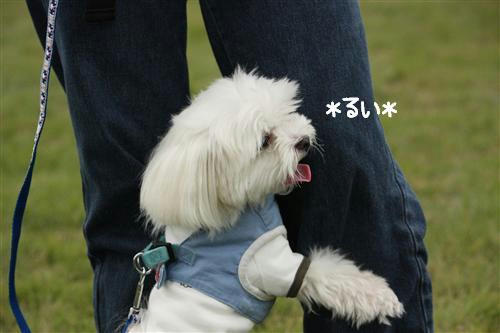 IMG_1135_RR.jpg