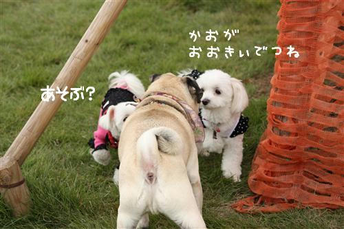 IMG_1361_RR.jpg