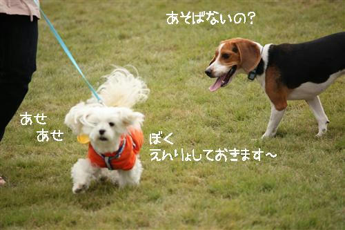 IMG_1243_RR.jpg