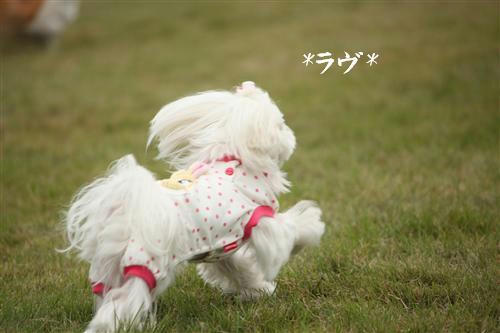 IMG_1299_RR.jpg