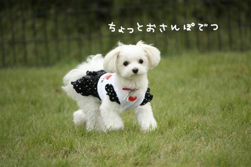 IMG_1374_RR.jpg