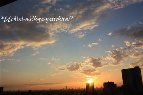 IMG_1504_RR.jpg
