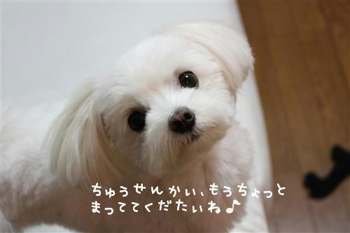 IMG_1515_RR.jpg