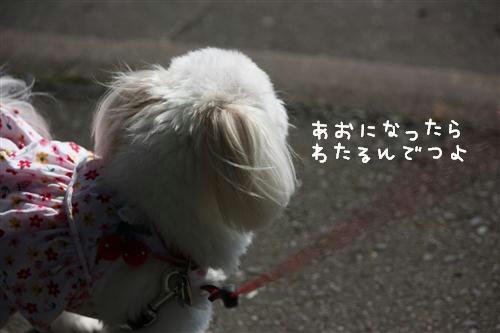 IMG_1641_RR.jpg