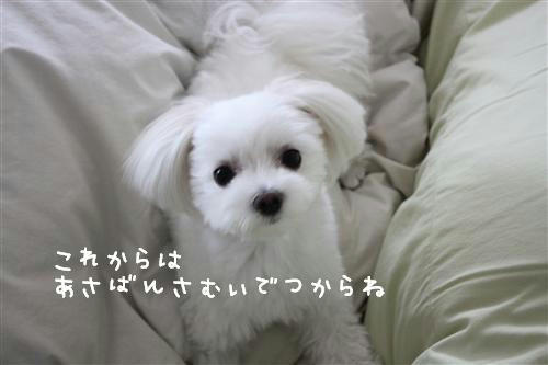 IMG_1520_RR.jpg