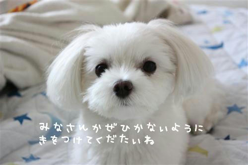 IMG_1526_RR.jpg