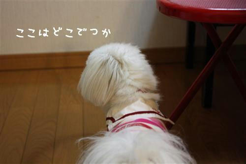IMG_1839_RR.jpg