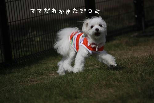 IMG_2147_RR.jpg