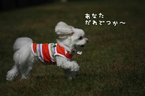 IMG_2148_RR.jpg