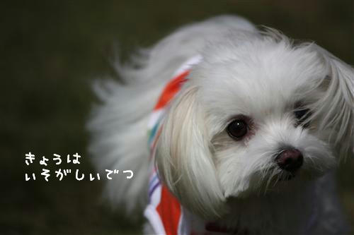 IMG_2149_RR.jpg