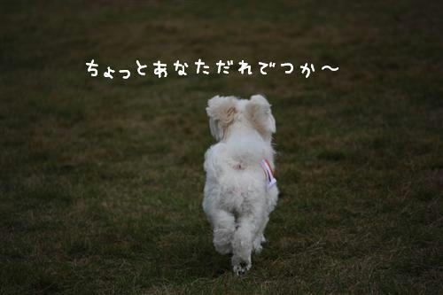 IMG_2161_RR.jpg
