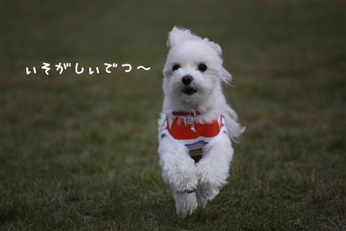 IMG_2166_RR.jpg