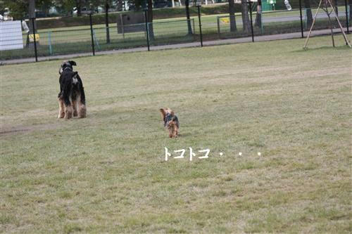 IMG_2193_RR.jpg