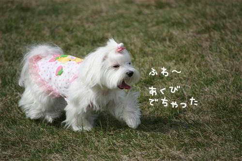 IMG_2250_RR.jpg