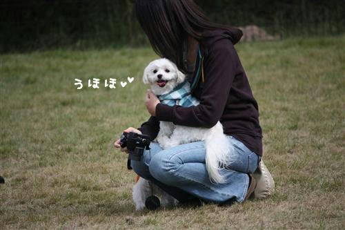 IMG_2243_RR.jpg