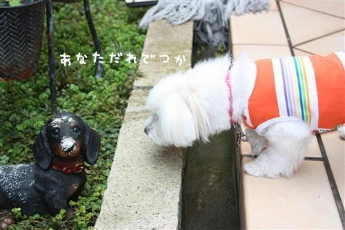 IMG_2300_RR.jpg