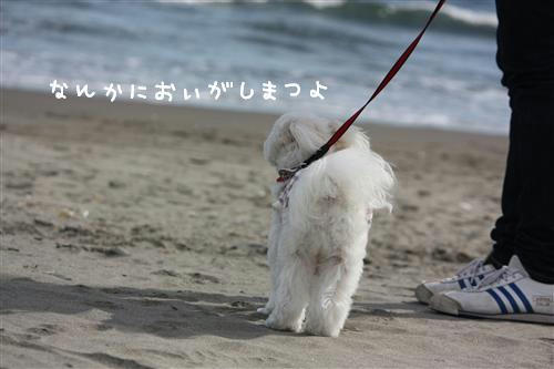 IMG_2407_RR.jpg