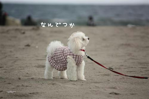 IMG_2457_RR.jpg