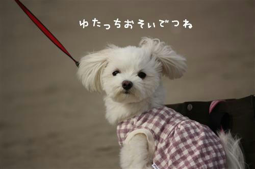 IMG_2486_RR.jpg