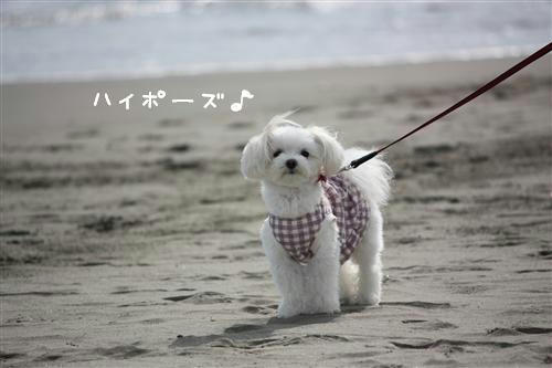 IMG_2401_RR.jpg