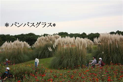 IMG_2612_RR.jpg