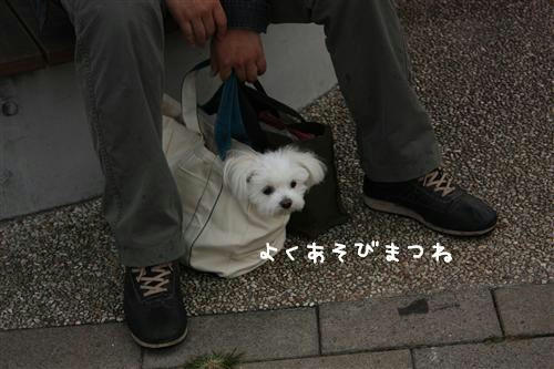IMG_2625_RR.jpg