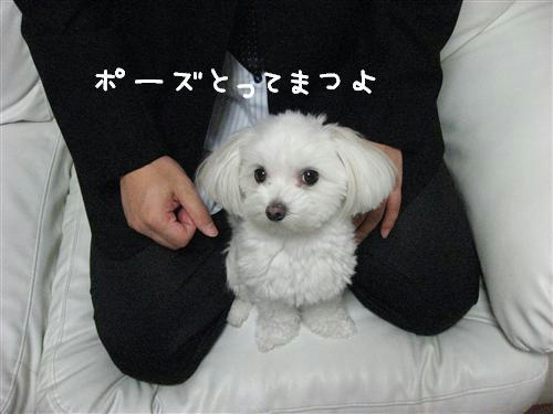 IMG_8275_RR.jpg