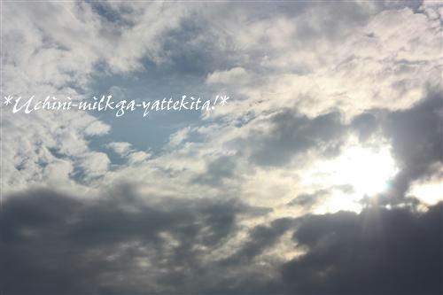 IMG_2364_RR.jpg