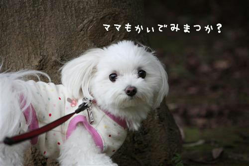 IMG_2837_RR.jpg