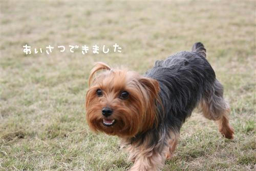 IMG_2892_RR.jpg