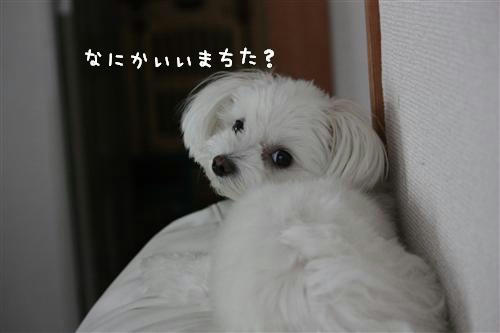IMG_2885_RR.jpg
