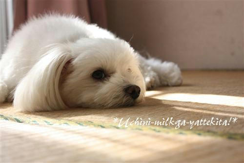 IMG_3034_RR.jpg
