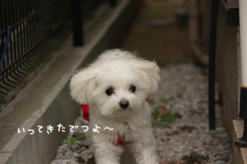 IMG_3207_RR.jpg