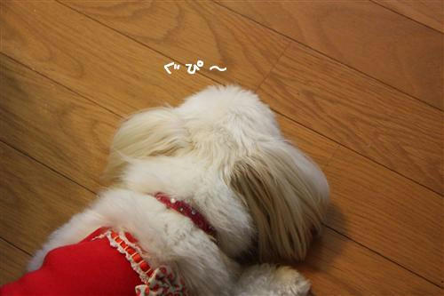 IMG_3221_RR.jpg
