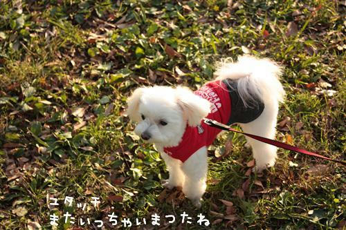 IMG_3880_RR.jpg