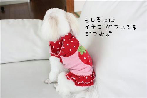 IMG_3582_RR.jpg