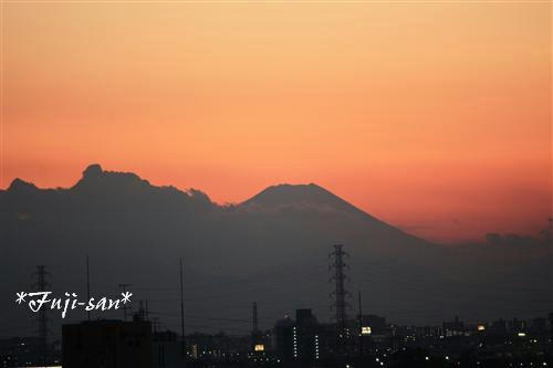 IMG_3726_RR.jpg