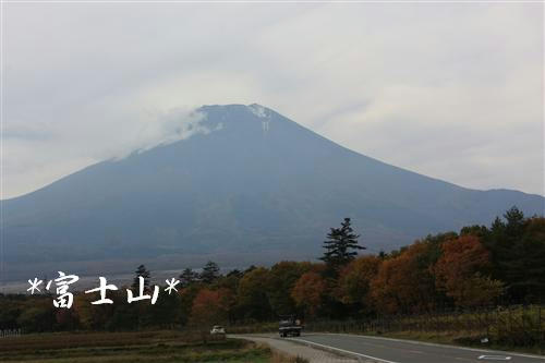 IMG_3980_RR.jpg