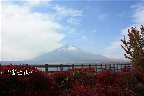 IMG_4017_RR.jpg