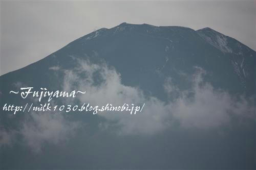 IMG_4096_RR.jpg