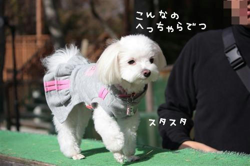 IMG_4152_RR.jpg
