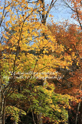 IMG_4146_RR.jpg