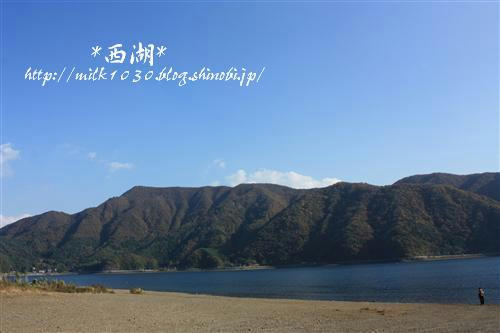 IMG_4278_RR.jpg
