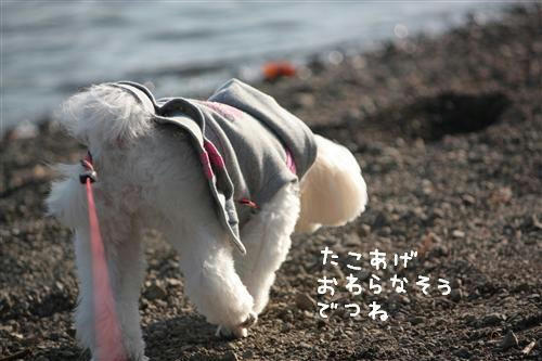 IMG_4336_RR.jpg