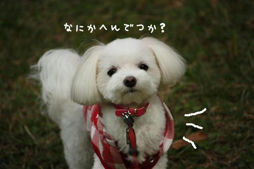 IMG_3467_RR.jpg