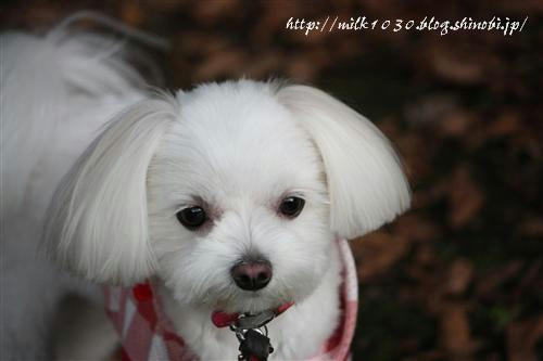 IMG_3522_RR.jpg