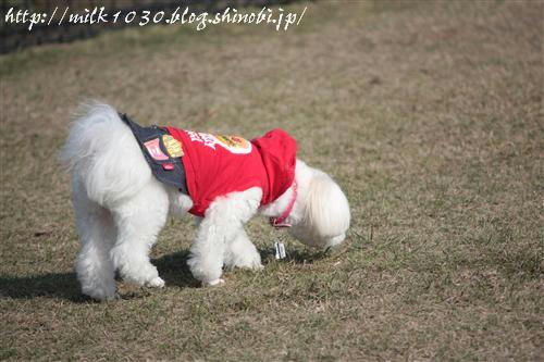 IMG_4454_RR.jpg