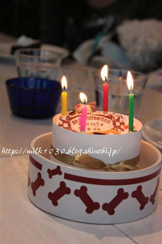 IMG_4829_RR.jpg