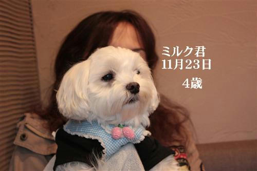 IMG_4690_RR.jpg